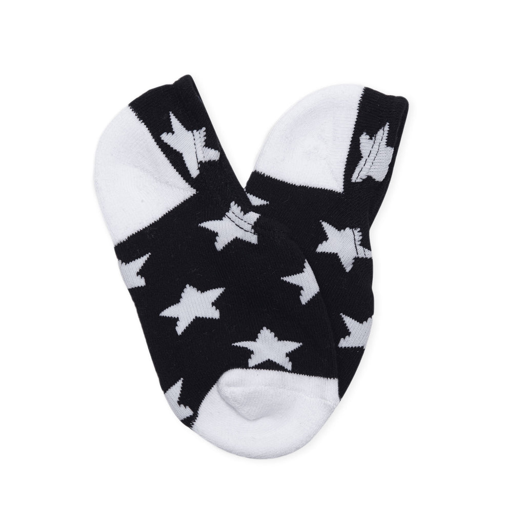 CONVERSE 船襪 Sock (3 Pack)